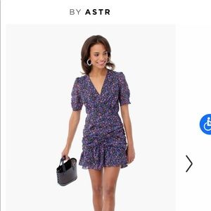 Aster Dress NWT!